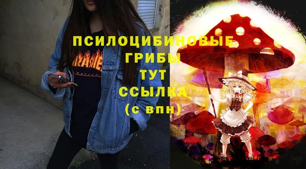 дживик Алзамай