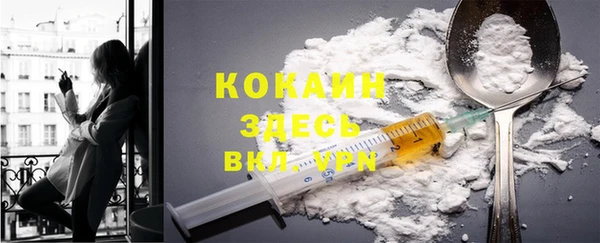 дживик Алзамай